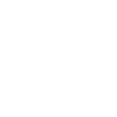 RT46 Schiedam