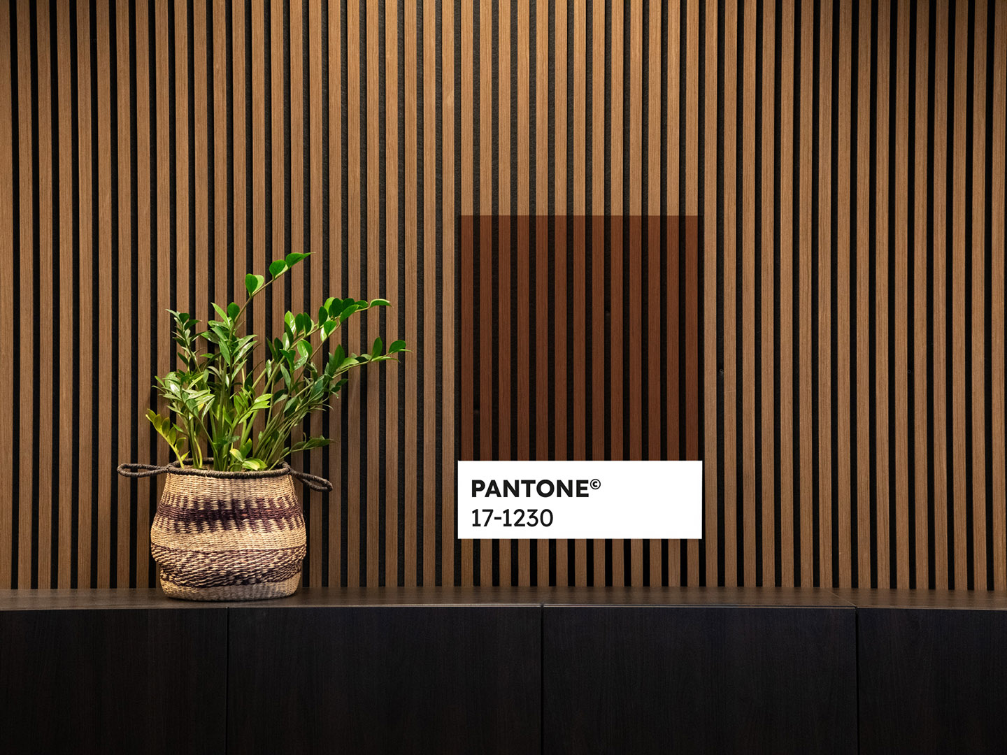 Pantone - de kleur van het jaar